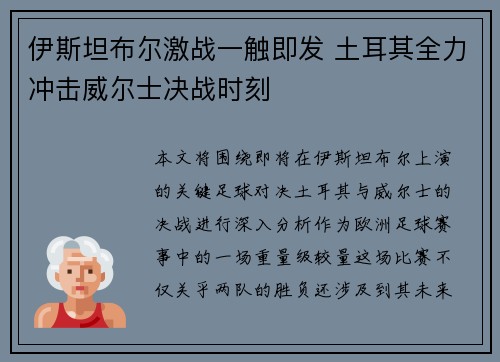 伊斯坦布尔激战一触即发 土耳其全力冲击威尔士决战时刻