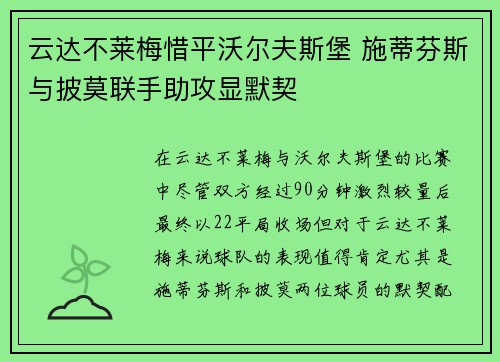 云达不莱梅惜平沃尔夫斯堡 施蒂芬斯与披莫联手助攻显默契